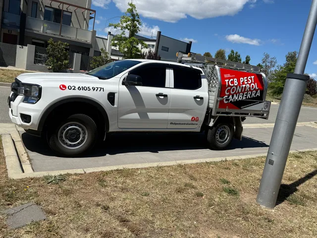 TCB Pest Control ute with the business phone number, parked on a Canberra street